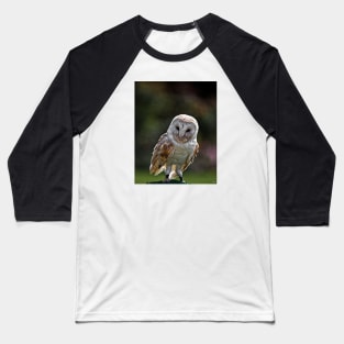 Barney, A Small but Frisky Owl Baseball T-Shirt